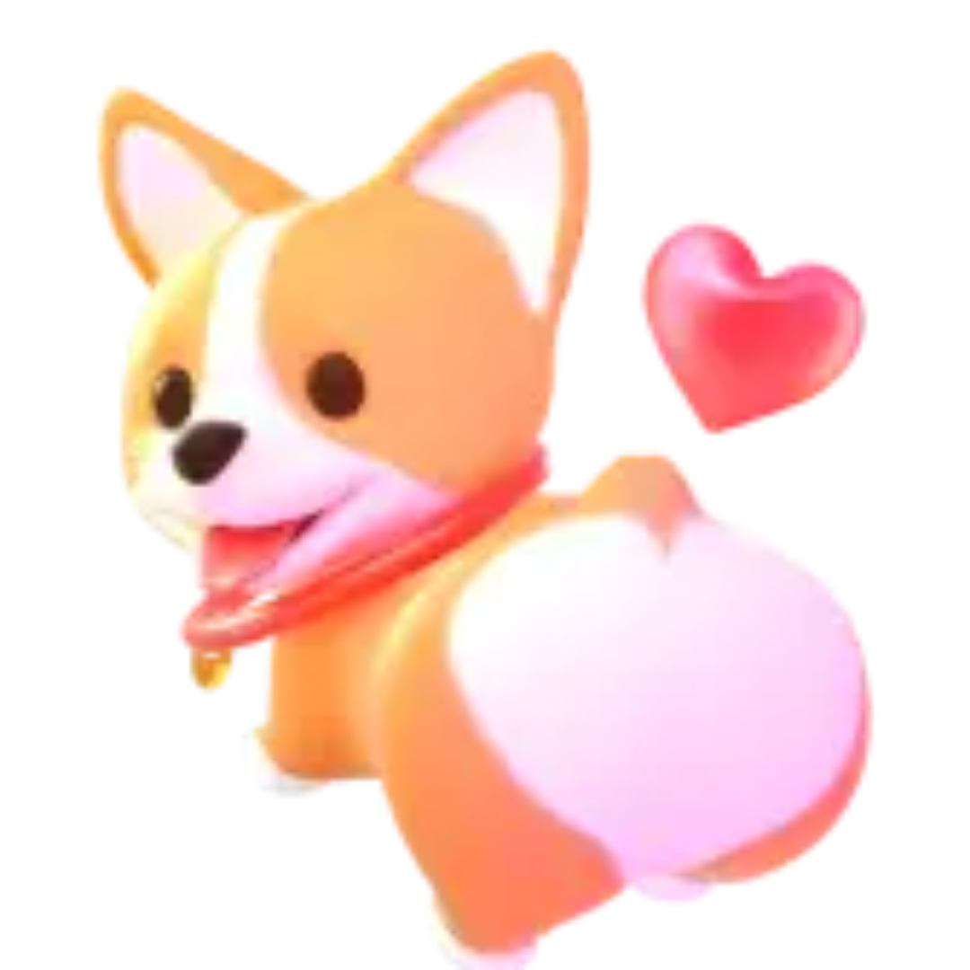 corgi