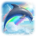 dolphin