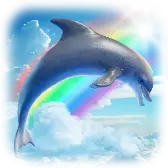 dolphin