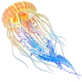 glowingjellyfish