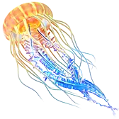 glowingjellyfish