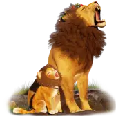 leonandlion