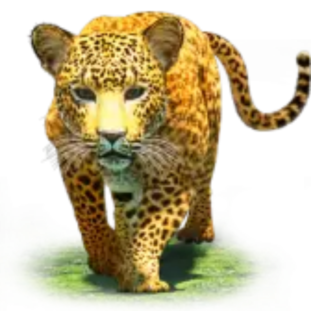 leopard