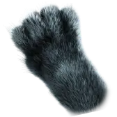 pantherpaws