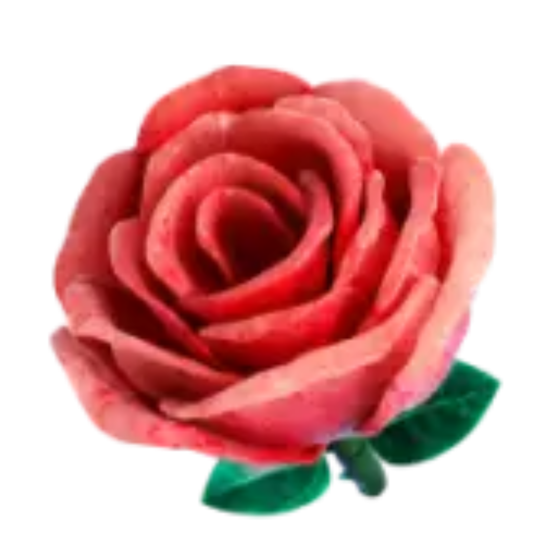 rosa