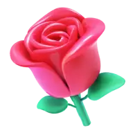 rose