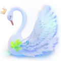 swan