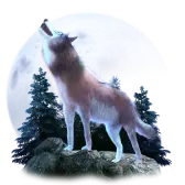 wolf