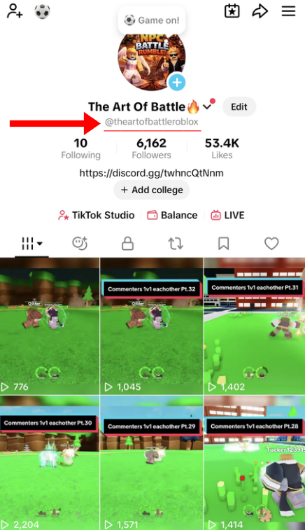 TikTok profile example showing where to find the username
